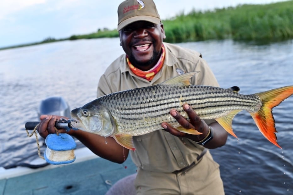 5 Day Tiger Fishing Package at Sekoma Lodge Upper Zambezi